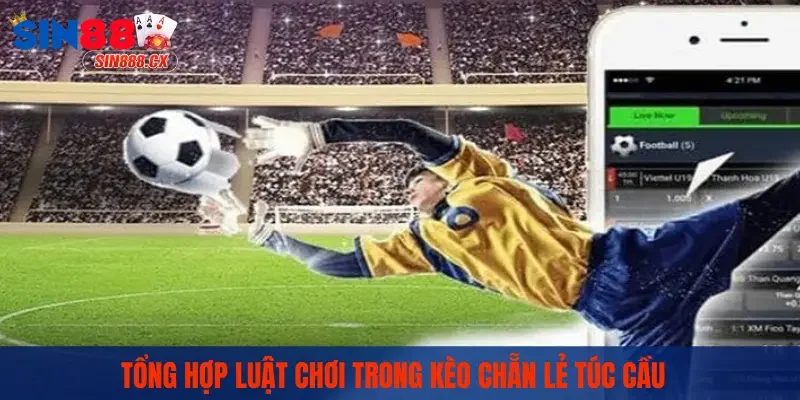 Tổng hợp luật chơi trong kèo chẵn lẻ túc cầu